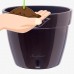 Santino Self Watering Planter Asti 7.9 Inch Black-Gold/Black Flower Pot   564101724